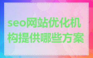 seo网站优化机构提供哪些方案