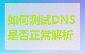 如何测试DNS是否正常解析