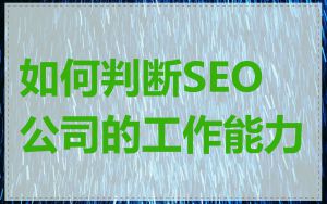 如何判断SEO公司的工作能力