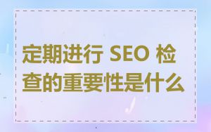 定期进行 SEO 检查的重要性是什么