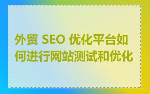 外贸 SEO 优化平台如何进行网站测试和优化
