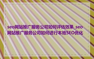 seo网站推广服务公司如何评估效果_seo网站推广服务公司如何进行本地SEO优化