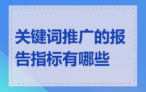 关键词推广的报告指标有哪些