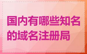 国内有哪些知名的域名注册局