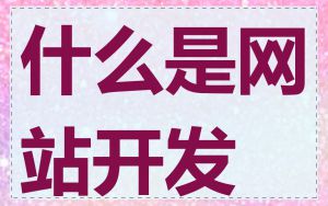 什么是网站开发