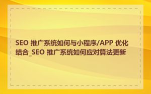 SEO 推广系统如何与小程序/APP 优化结合_SEO 推广系统如何应对算法更新