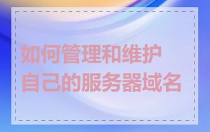 如何管理和维护自己的服务器域名
