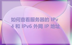 如何查看服务器的 IPv4 和 IPv6 外网 IP 地址