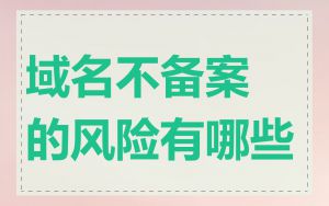 域名不备案的风险有哪些
