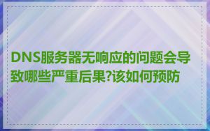 DNS服务器无响应的问题会导致哪些严重后果?该如何预防