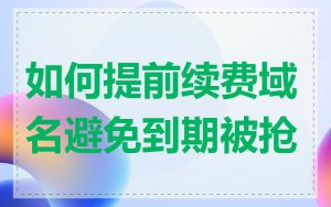 如何提前续费域名避免到期被抢