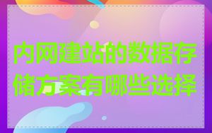 内网建站的数据存储方案有哪些选择