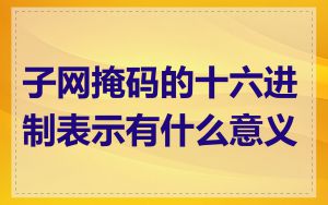 子网掩码的十六进制表示有什么意义