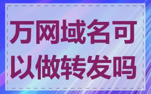 万网域名可以做转发吗