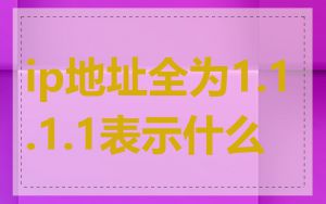 ip地址全为1.1.1.1表示什么