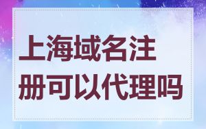 上海域名注册可以代理吗