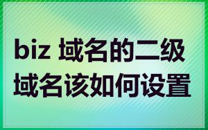 biz 域名的二级域名该如何设置