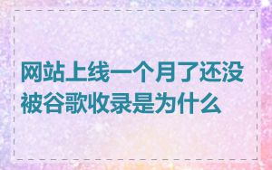 网站上线一个月了还没被谷歌收录是为什么