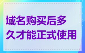 域名购买后多久才能正式使用