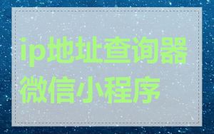 ip地址查询器微信小程序