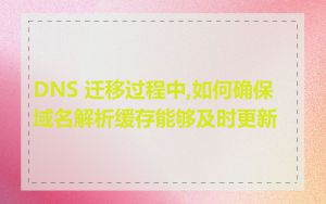 DNS 迁移过程中,如何确保域名解析缓存能够及时更新