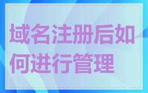 域名注册后如何进行管理