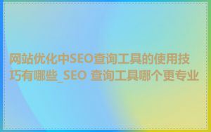 网站优化中SEO查询工具的使用技巧有哪些_SEO 查询工具哪个更专业