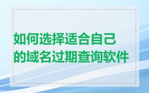 如何选择适合自己的域名过期查询软件