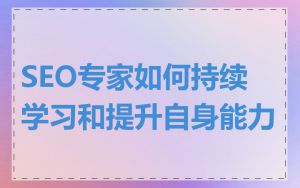 SEO专家如何持续学习和提升自身能力