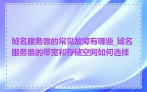 域名服务器的常见故障有哪些_域名服务器的带宽和存储空间如何选择