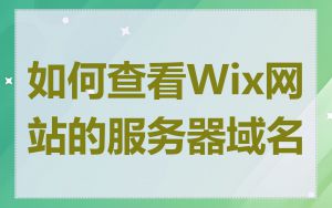 如何查看Wix网站的服务器域名