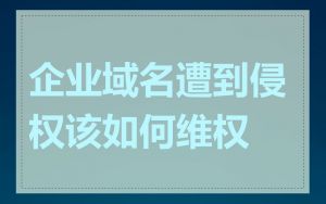 企业域名遭到侵权该如何维权