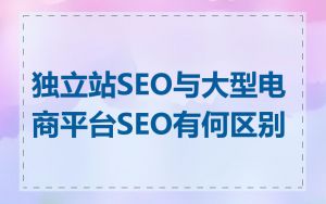 独立站SEO与大型电商平台SEO有何区别