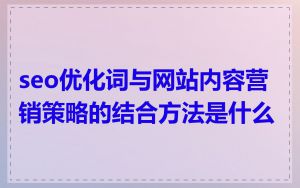 seo优化词与网站内容营销策略的结合方法是什么