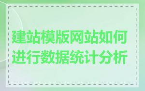 建站模版网站如何进行数据统计分析