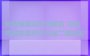 如何备案花生壳域名_花生壳域名是否可以做二级域名