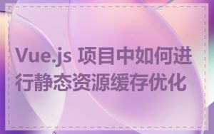 Vue.js 项目中如何进行静态资源缓存优化