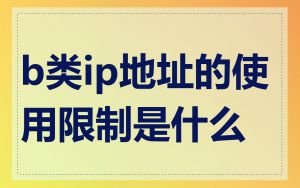 b类ip地址的使用限制是什么