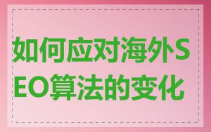 如何应对海外SEO算法的变化