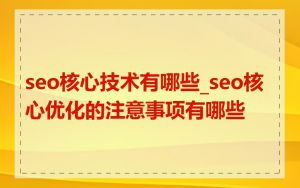 seo核心技术有哪些_seo核心优化的注意事项有哪些