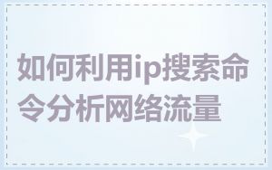 如何利用ip搜索命令分析网络流量