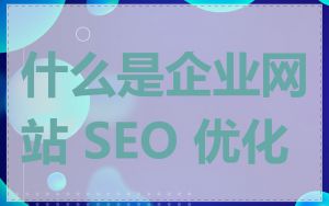 什么是企业网站 SEO 优化