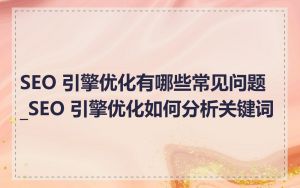 SEO 引擎优化有哪些常见问题_SEO 引擎优化如何分析关键词