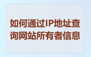 如何通过IP地址查询网站所有者信息