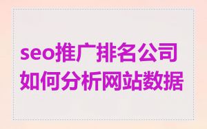 seo推广排名公司如何分析网站数据