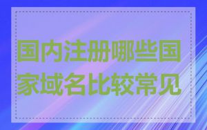 国内注册哪些国家域名比较常见