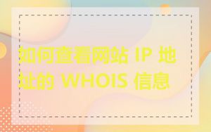 如何查看网站 IP 地址的 WHOIS 信息