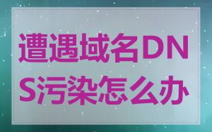 遭遇域名DNS污染怎么办