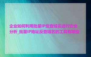 企业如何利用批量IP反查域名进行安全分析_批量IP地址反查域名的工具有哪些