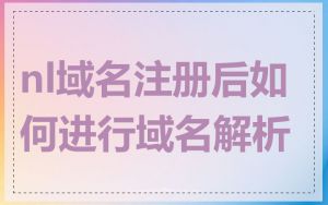 nl域名注册后如何进行域名解析